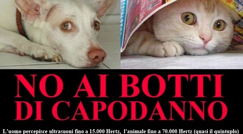 cani-gatti-botti3[1]