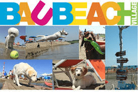 Risultati immagini per BAUBEACHÂ®, la prima spiaggia per cani liberi e felici d'Italia (Maccarese, dal 19 aprile